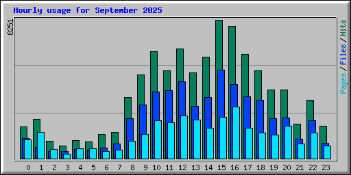 Hourly usage for September 2025